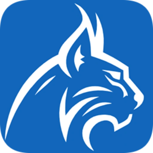 DevLynx - agencja IT Kraków logo