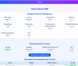 Platforma księgowa JDG SmartJDG.pl – zrzut ekranu modułu